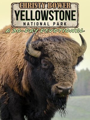cover image of Yellowstone National Park